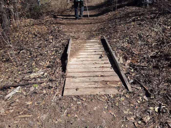 Payne Lake Eastside Campground Picture 2