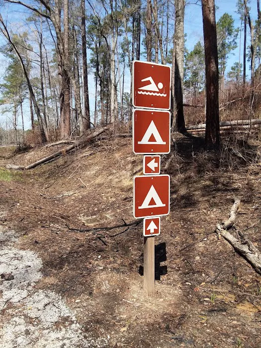 Payne Lake Eastside Campground Picture 6