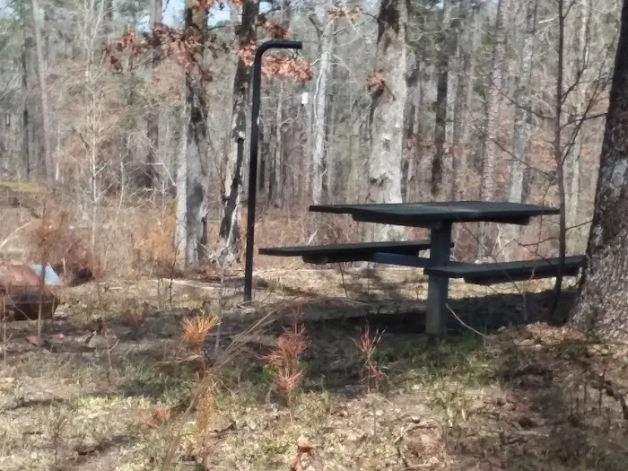 Payne Lake Eastside Campground Picture 5
