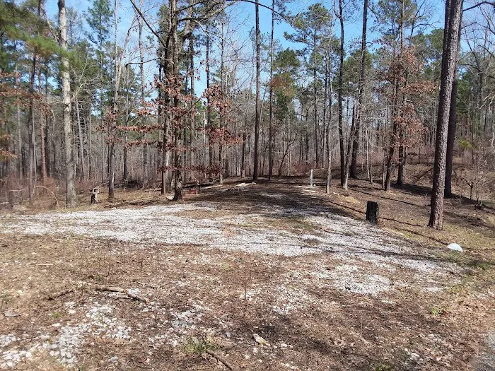 Payne Lake Eastside Campground Picture 8