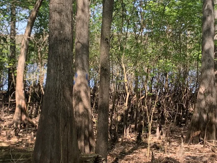 Silver Lake Campground Picture 4