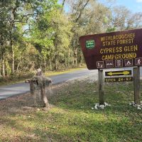 Cypress Glen Campground ico