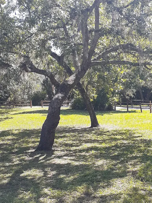 Cypress Glen Campground Picture 6
