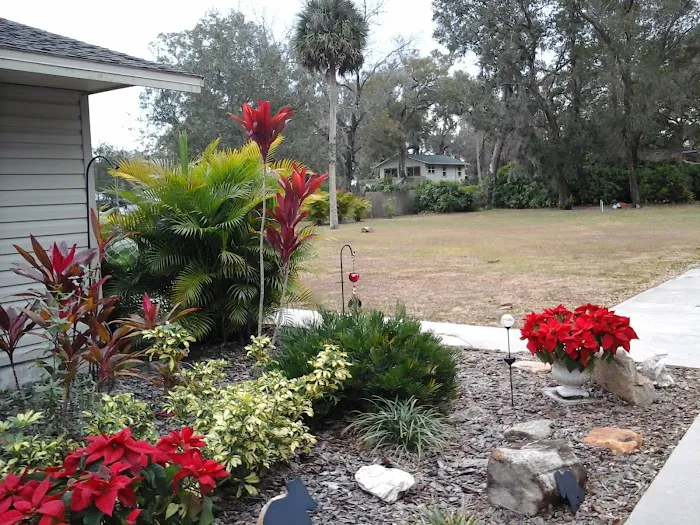 Ridge Manor Campground Picture 10