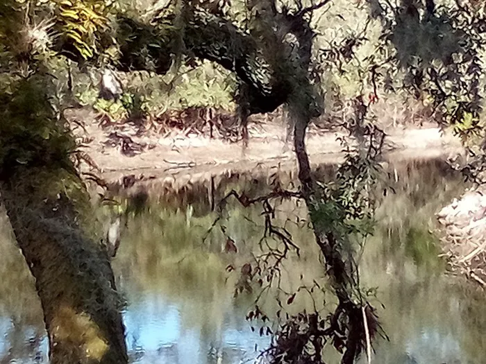FNST High Bluff Camp Picture 1