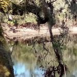 FNST High Bluff Camp