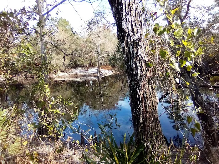FNST High Bluff Camp Picture 3