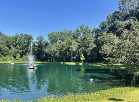 Sawmill Campground