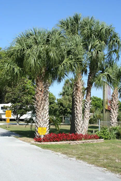 Orlando NW / Orange Blossom KOA Journey Picture 7