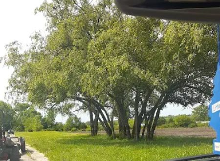 Green Acres Park