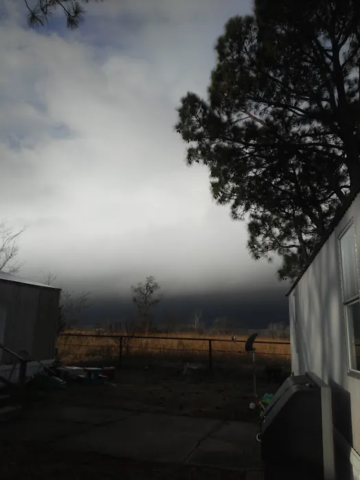 Shady Brooke RV Park Picture 6