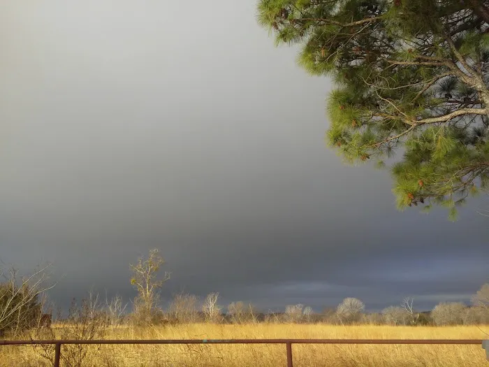 Shady Brooke RV Park Picture 8