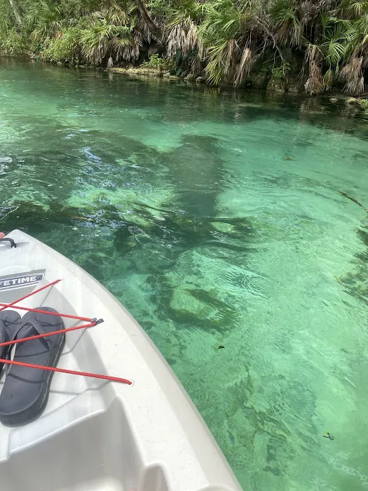 Weeki Wachee Waterfront Airstream Glamping Experience (Reservation Required) Picture 3