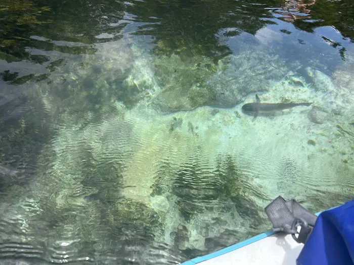 Weeki Wachee Waterfront Airstream Glamping Experience (Reservation Required) Picture 2