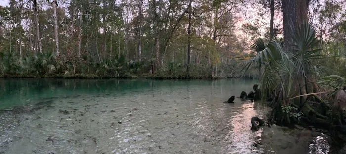 Weeki Wachee Waterfront Airstream Glamping Experience (Reservation Required) Picture 5