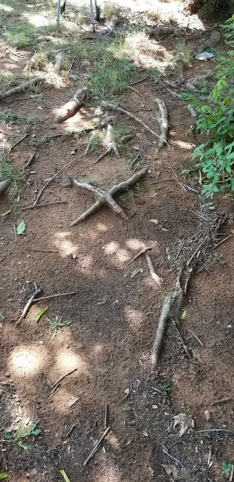 Shannon Valley Picture 7