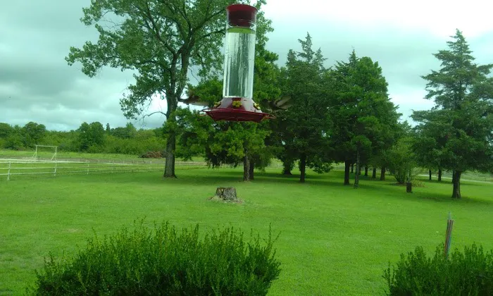 Last Chance RV Ranch Picture 1