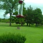 Last Chance RV Ranch