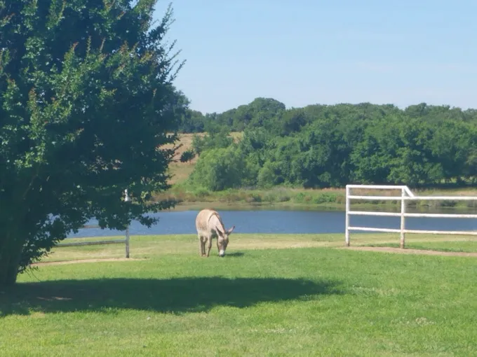 Last Chance RV Ranch Picture 10