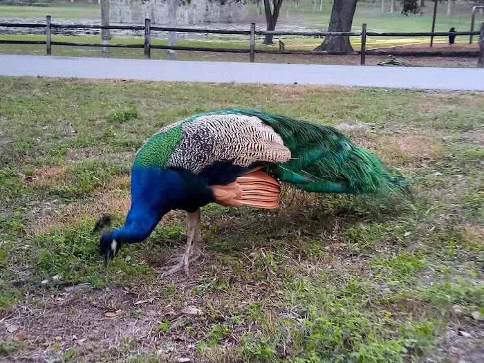 Magnolia Park Campground Picture 6