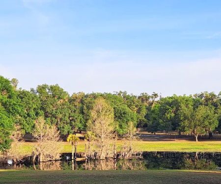 Magnolia Park Campground