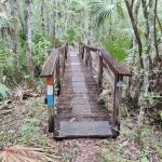 SWFWMD Mott Hammock Camp