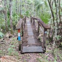SWFWMD Mott Hammock Camp ico