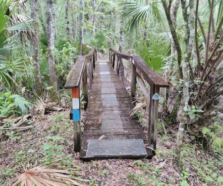 SWFWMD Mott Hammock Camp
