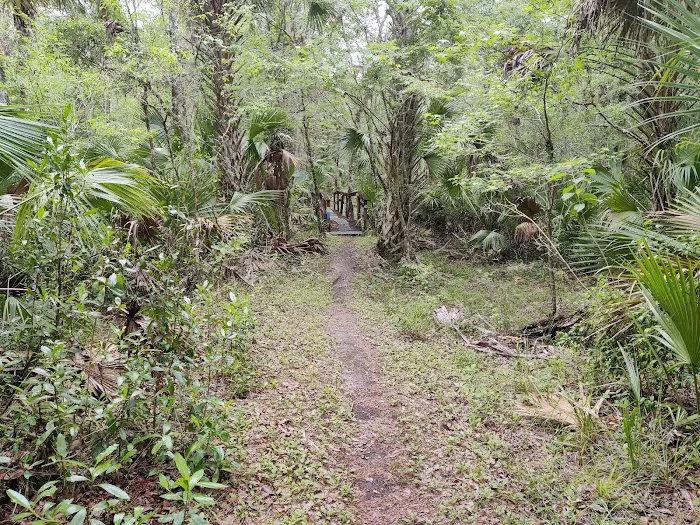 SWFWMD Mott Hammock Camp Picture 2