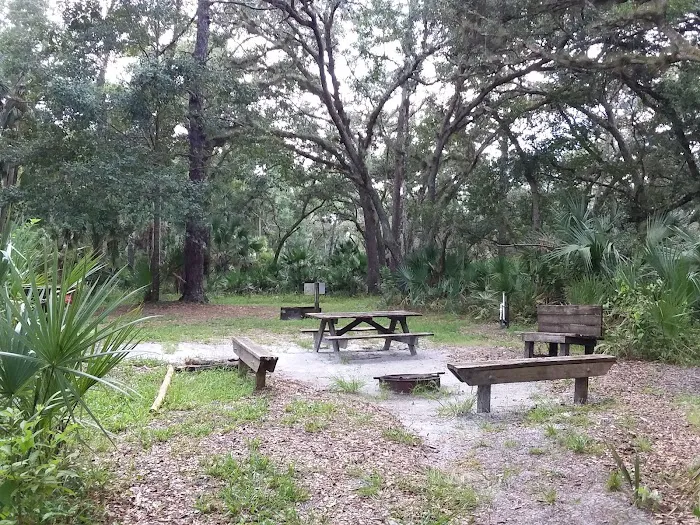 Big Fork Campsite Picture 1