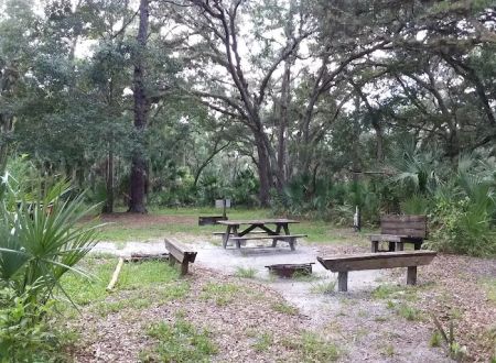 Big Fork Campsite