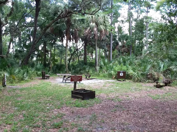 Big Fork Campsite Picture 6