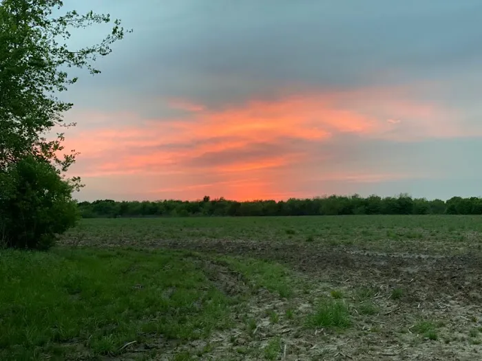 Farm View RV Park Picture 5