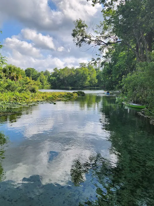 Wekiwa Springs State Park Campground Picture 1