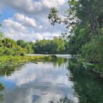 Wekiwa Springs State Park Campground