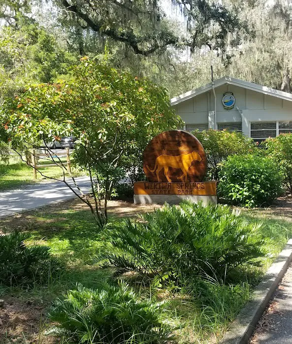 Wekiwa Springs State Park Campground Picture 5