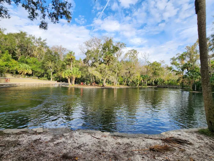 Wekiwa Springs State Park Campground Picture 3