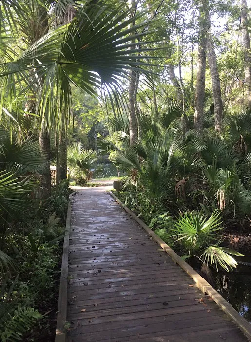 Wekiwa Springs State Park Campground Picture 4