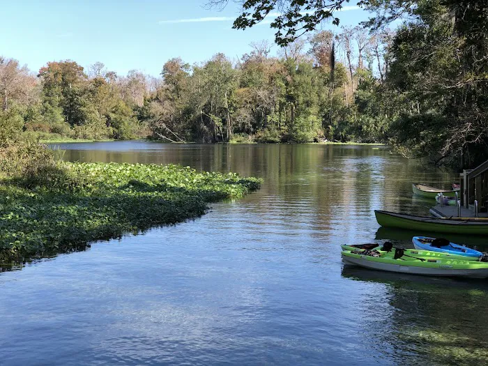 Wekiwa Springs State Park Campground Picture 8