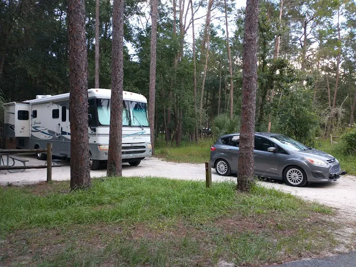 Wekiwa Springs State Park Campground Picture 7