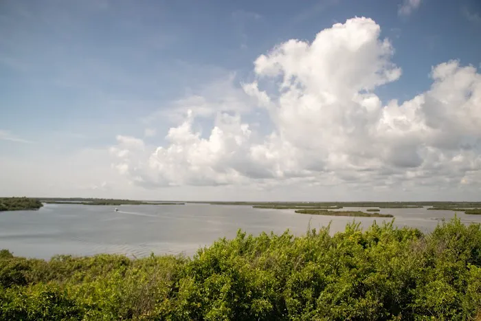 Canaveral National Seashore Backcountry Island Campground Picture 1