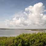 Canaveral National Seashore Backcountry Island Campground
