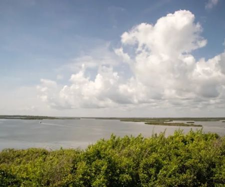 Canaveral National Seashore Backcountry Island Campground