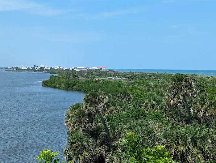 Canaveral National Seashore Backcountry Island Campground Picture 7