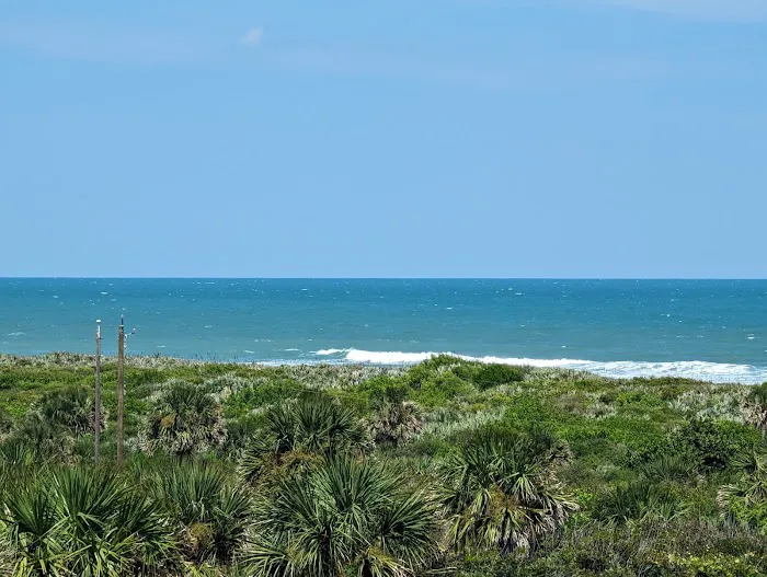 Canaveral National Seashore Backcountry Island Campground Picture 5