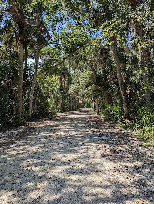 Canaveral National Seashore Backcountry Island Campground Picture 6