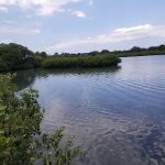 Riverwood Park Campground