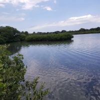 Riverwood Park Campground ico