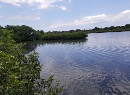 Riverwood Park Campground