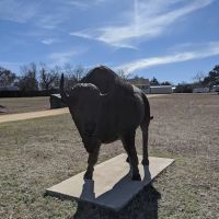 Buffalo Land Blue River RV Park ico